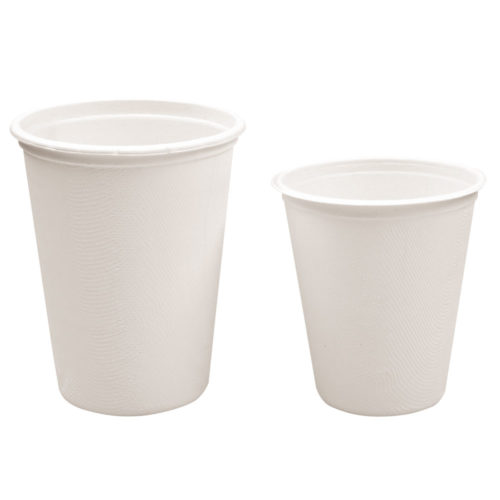 Bagasse Becher | Zuckerrohr